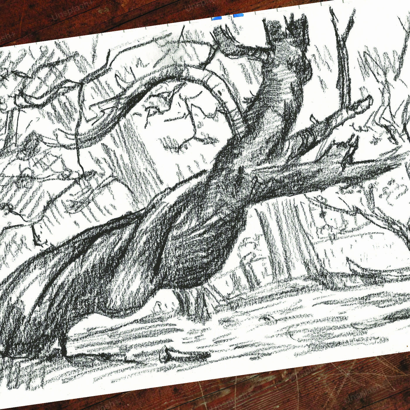 Thumbnail — alternate view